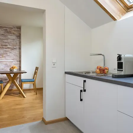 Thermen Gabriela, 38 Qm Apartment